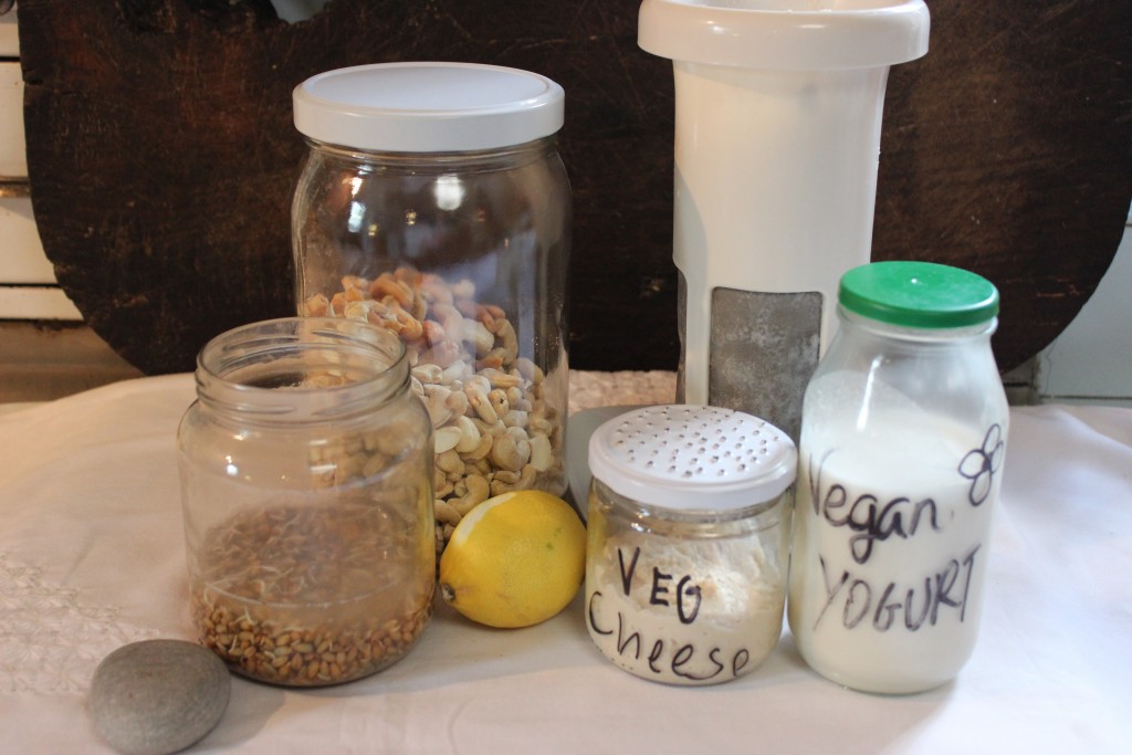 Receta vegana de yogurt y queso veganos tarro con semillas de remojo, tarro con anacardos, 1 limón, un tarro con queso vegano, otro tarro con yogurt vegano y al fondo un filtro vegan milker