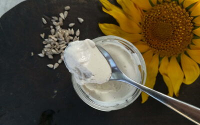receta de yogur vegano de pipas de girasol